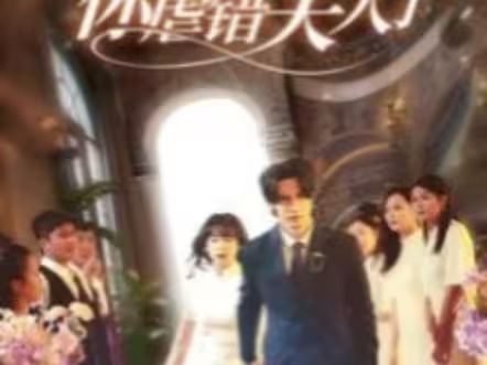 陸總住手吧，你虐錯夫人了(全集)