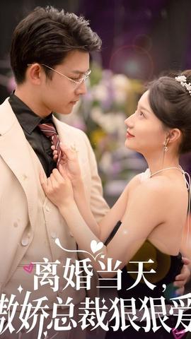 離婚當(dāng)天，傲嬌總裁狠狠愛(全集)