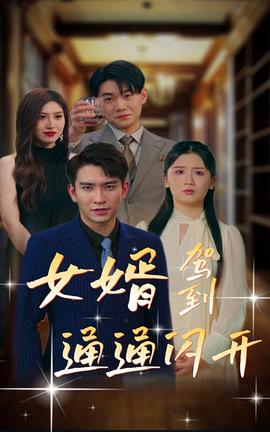 女婿駕到，通通閃開(全集)