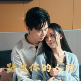 路過(guò)你的人間(全集)