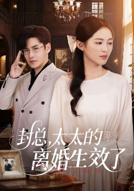 封總，太太的離婚生效了(全集)