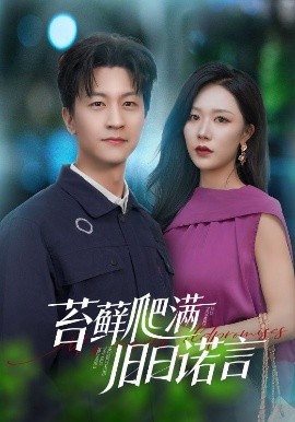 苔蘚爬滿舊日諾言(全集)