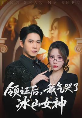 領(lǐng)證后，我氣哭了冰山女神(全集)