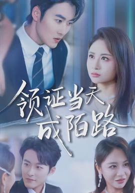 領(lǐng)證當(dāng)天成陌路(全集)