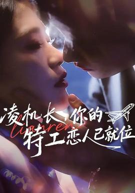 凌機長，你的特工戀人已就位(全集)