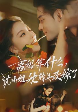 離婚算什么，沈小姐她轉頭改嫁了(全集)