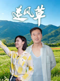 逆風(fēng)草